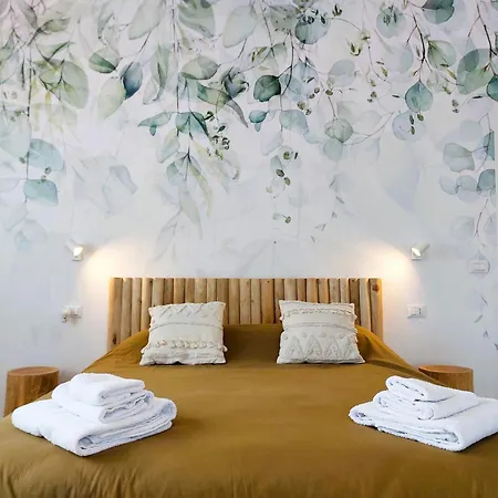 Stefy's #cattedrale Guest house *